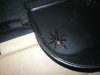 Spider.jpg