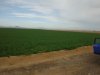 DSCF1111.jpg