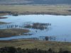 henshaw-Wister 1-22-11 007.JPG