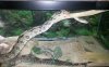 snake.jpg