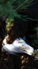 20141115_084145.jpg_thumb2.png