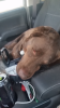 20141119_162850.jpg_thumb4.png