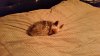 20141212_065643.jpg