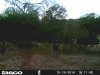 HUNT0148.JPG