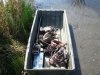 kern 2010 016.JPG
