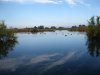 kern 2010 011.JPG