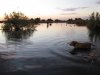 kern 2010 024.old.JPG