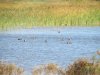 IMG_0187.JPG