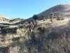 20150119_153751.jpg