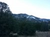 20150120_080305.jpg