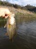 DSCF0563.JPG