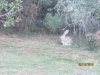 IMG_0282.JPG