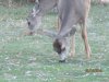 IMG_0285.JPG