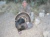 new mexico 1st gobbler 2011 020.JPG