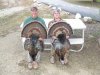 turkey opener 2011 028.JPG