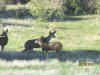 IMG_0375.JPG