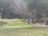 20150219_090622.jpg