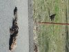 20150219_103725.jpg