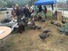 Spring Turkey Tuneup.jpg