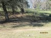 IMG_0467.JPG