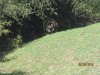 IMG_0495.JPG