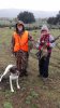 Willa pheasants dog.jpg