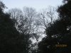 IMG_0601.JPG
