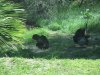 IMG_0624.JPG