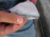 800px-Pocket_lint.JPG