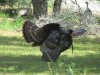 IMG_0746.JPG