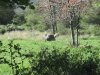 IMG_0807.JPG