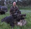 pigz1.jpg