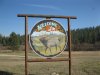 washington  elk 2011 ll 025.JPG
