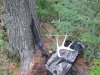 washington elk hunt lll 2011 034.JPG