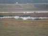 washington elk hunt lllll 2011 013.JPG