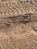 Tracks.jpg