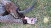 2015 archery3.jpg