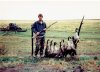 goose2.jpg