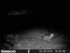 HUNT0007.JPG