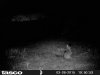 HUNT0009.JPG