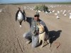 ww & wister 1-18-12 065.JPG