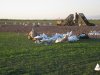 ww & wister 1-18-12 085.JPG