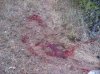 1st bow buck 2012 018.JPG