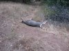 1st bow buck 2012 017.JPG