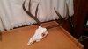 20150429_065102.jpg