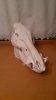 20150429_065341.jpg