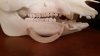 20150429_070412.jpg