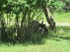 IMG_1267.JPG