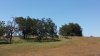 20150502_113453.jpg