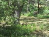 IMG_1362.JPG